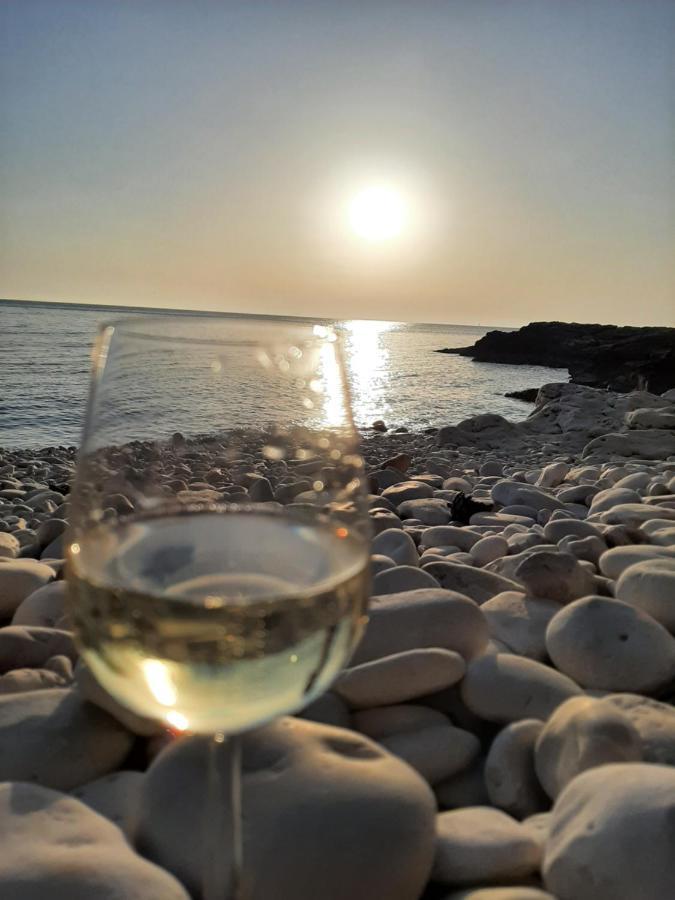 Helles Doppelzimmer Mit Bad, Terrasse Und Pool, Seperater Eingang, Liznjan, Istrien Zewnętrze zdjęcie